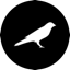 logo.png